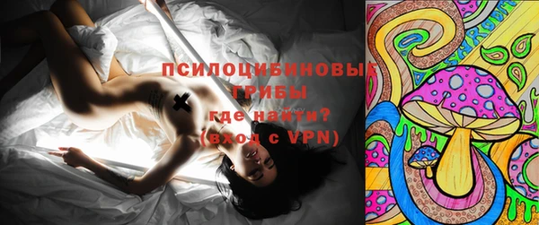 эйфоретик Гусиноозёрск