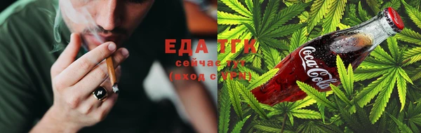 прущие грибы Магадан
