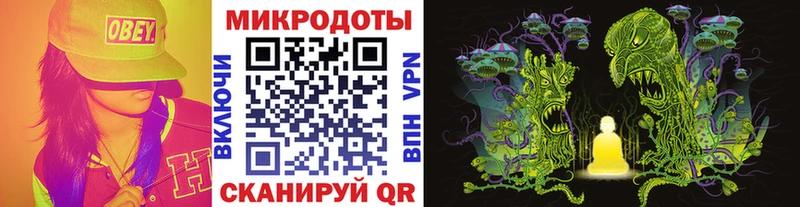 Псилоцибиновые грибы Cubensis Невель