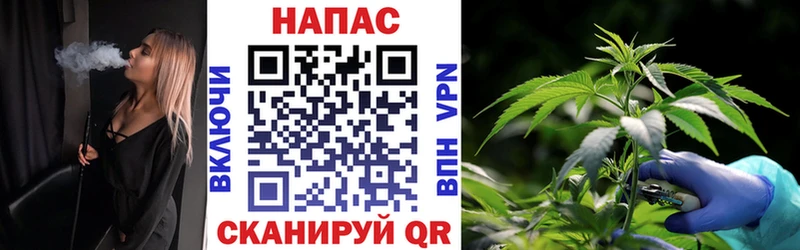 Каннабис планчик  мега зеркало  Невель 